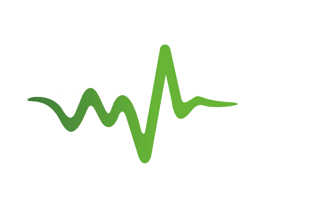 VoiceFinder logo